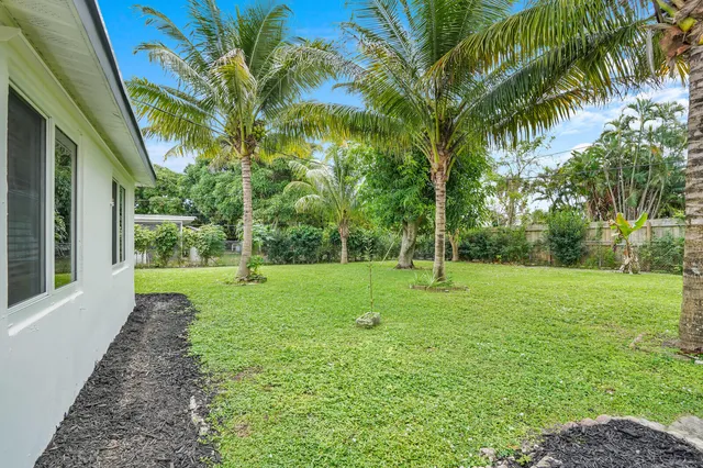 a view of a backyard with palm trees