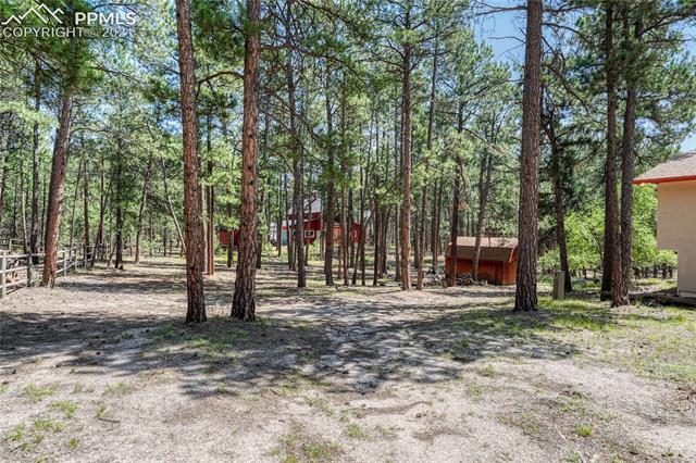 18935 Furrow Road Monument, CO 80132 - Photo 46 of 50