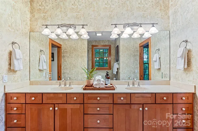 a view of a backyard with plants and large trees