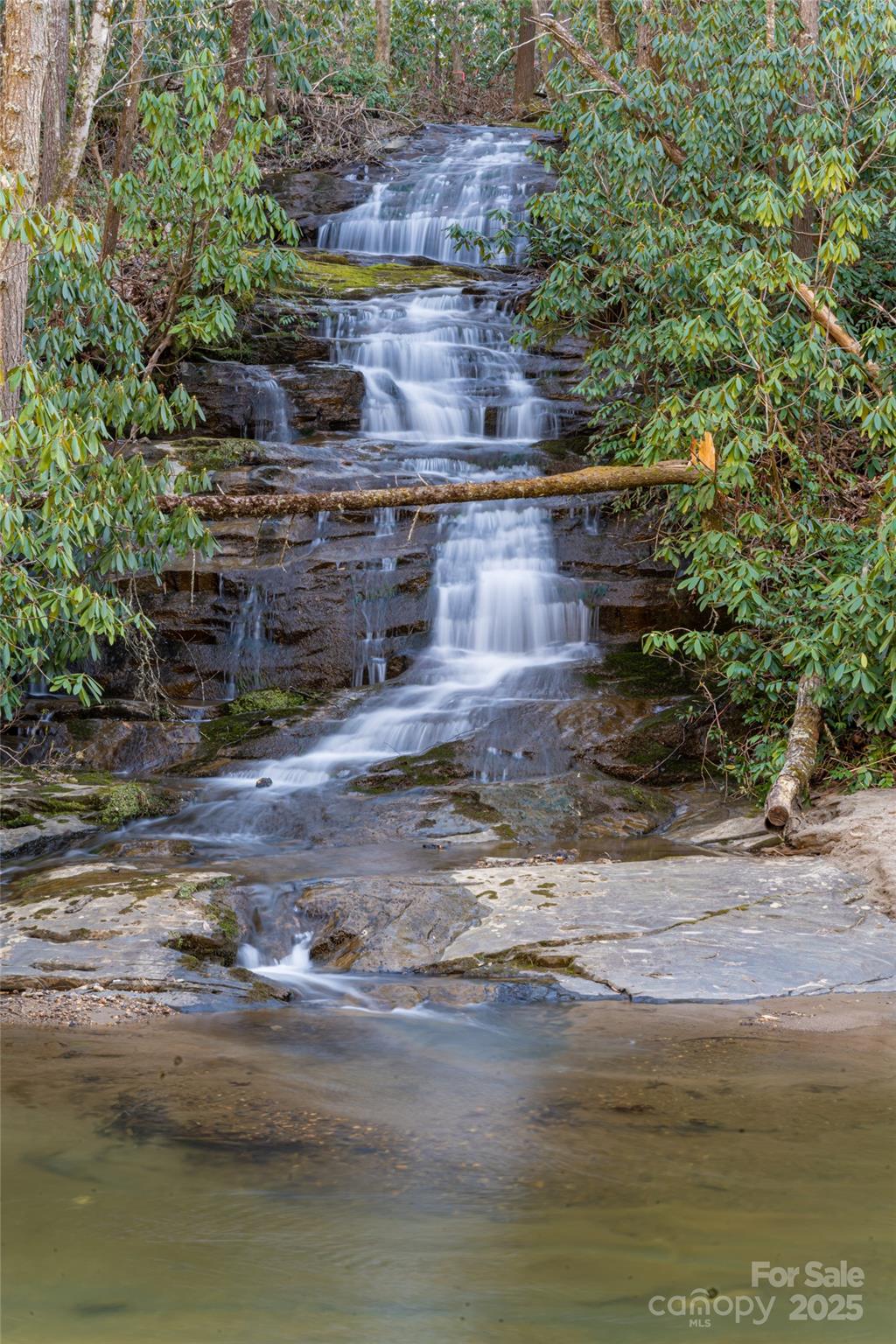 1987 Rabbit Hop Road Spruce Pine, NC 28777 - Photo 43 of 47