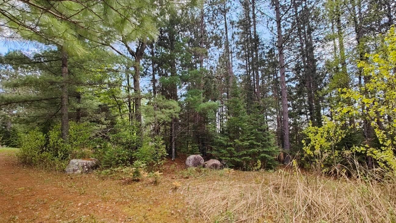 80064 Osprey Pass Tower, MN 55790 - Photo 11 of 31