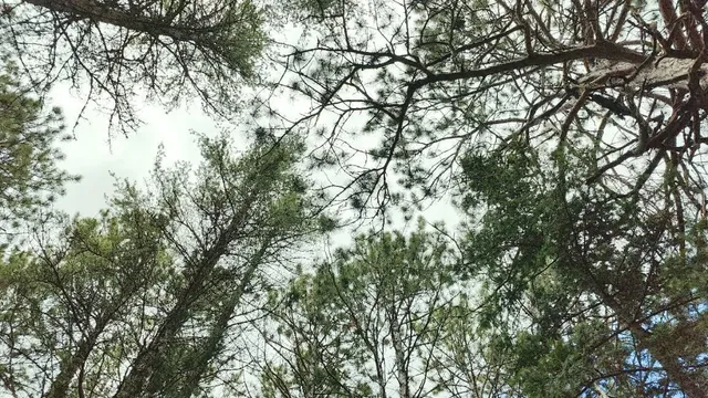 $135,500 | 80064 Osprey Pass, Tower, MN 55790