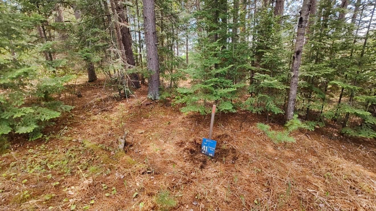 80064 Osprey Pass Tower, MN 55790 - Photo 5 of 31