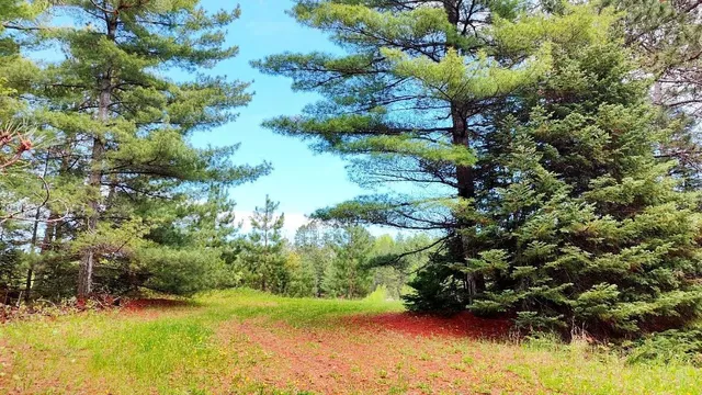 $135,500 | 80064 Osprey Pass, Tower, MN 55790