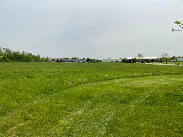 a view of field with grass and trees