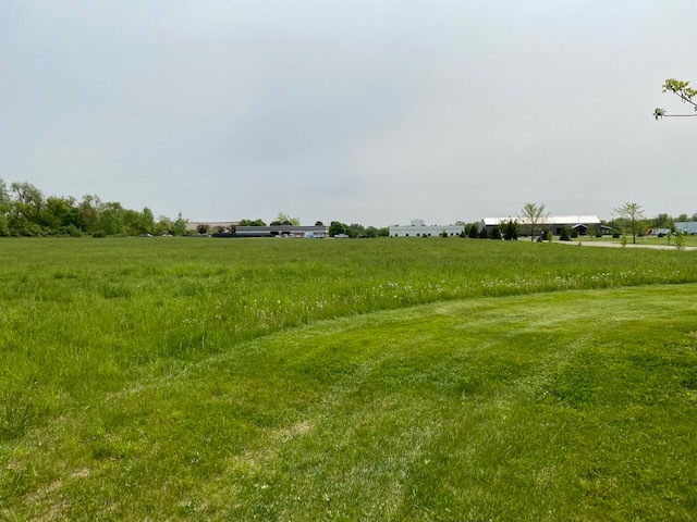 Lot 13 Duncan Place Woodstock, IL 60098 - Photo 5 of 8 a view of field with grass and trees