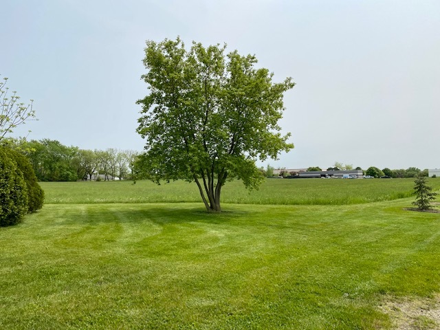 Lot 13 Duncan Place Woodstock, IL 60098 - Photo 7 of 8 a big yard with lots of green space