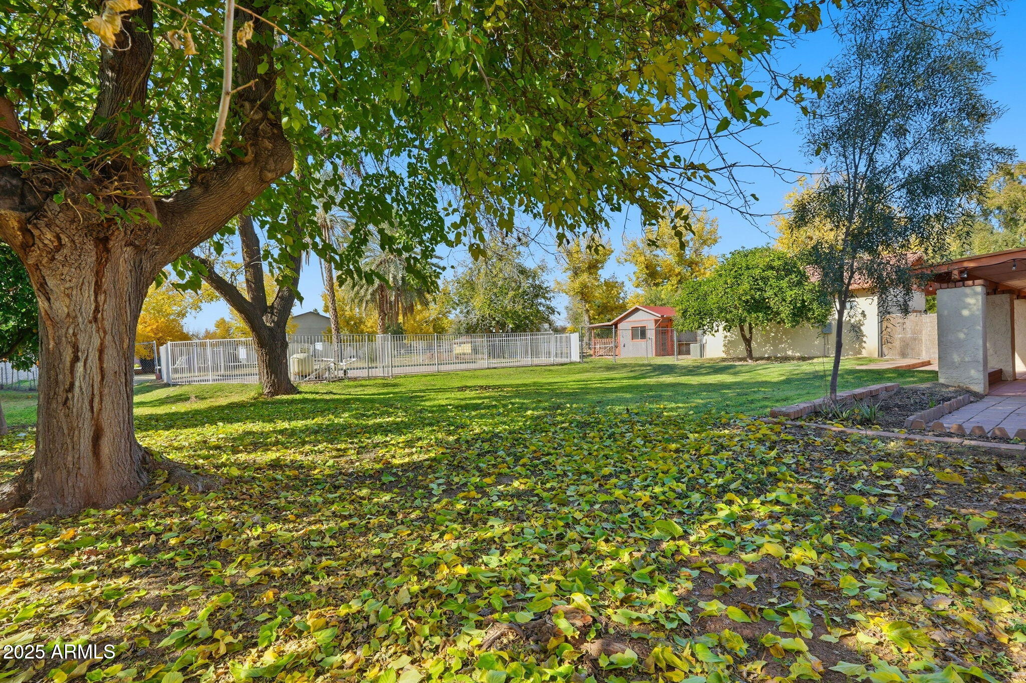 914 South 132nd Street Gilbert, AZ 85233 - Photo 48 of 55 a view of a trees with a big yard