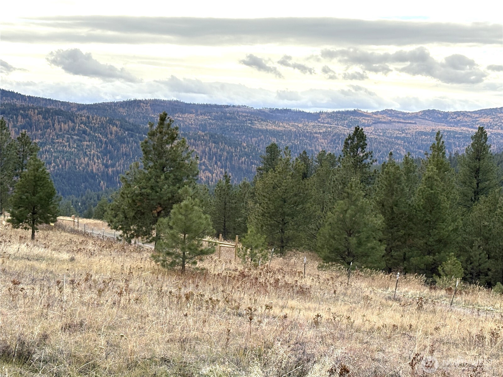 60 Buck Road Wauconda, WA 98859 - Photo 2 of 11 a view of a yard with a mountain