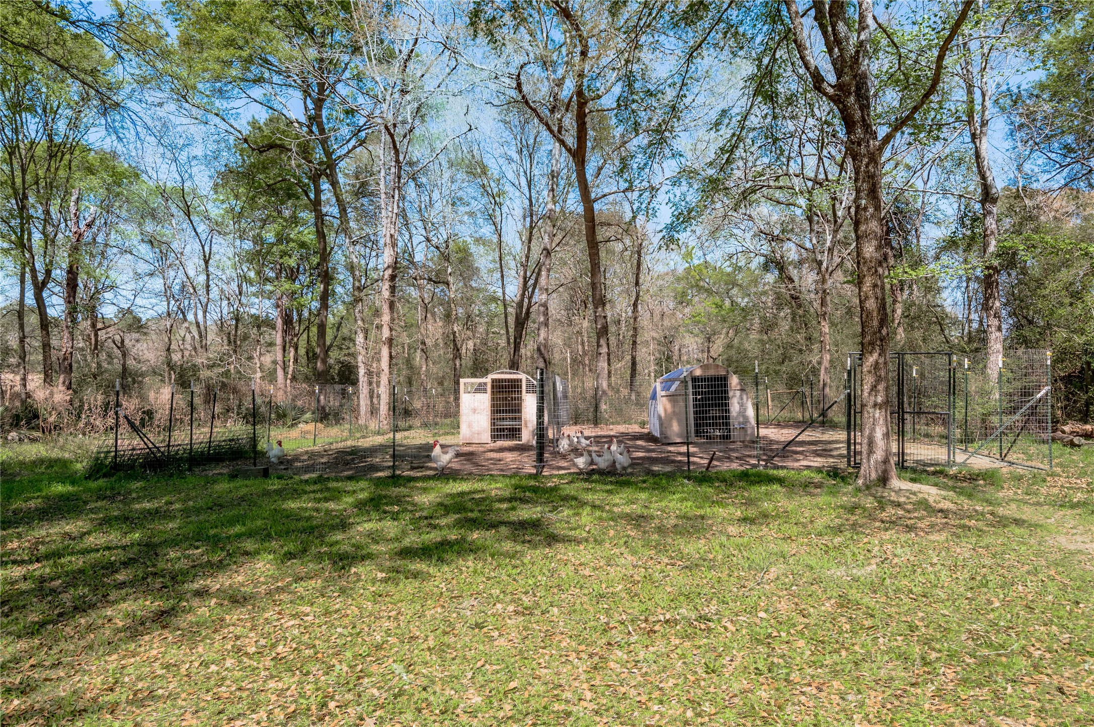 1533 Kickapoo Road Groveton, TX 75845 - Photo 42 of 50