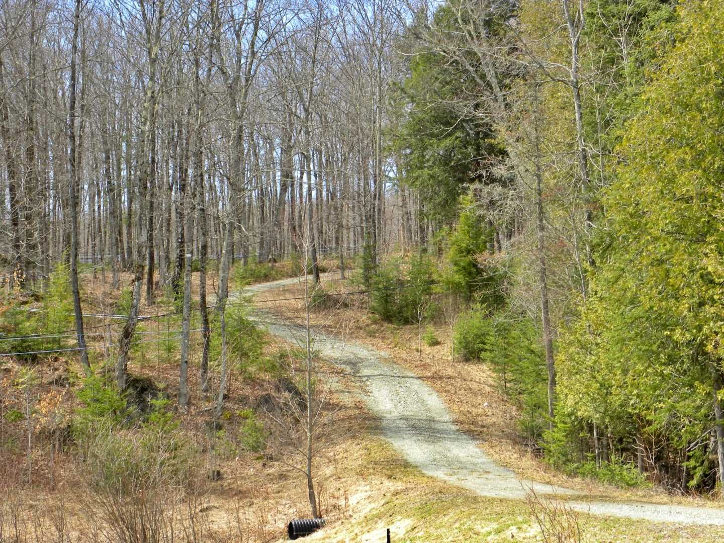 2322 East Albany Road Irasburg, VT 05845 - Photo 1 of 40 Gallery Image 1