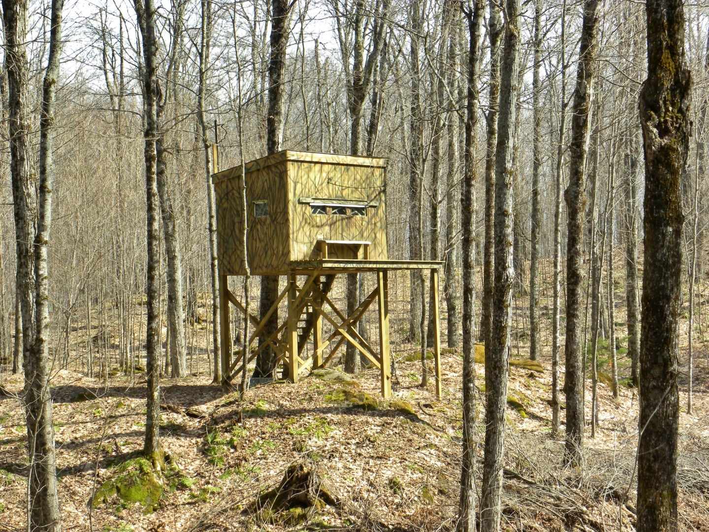 2322 East Albany Road Irasburg, VT 05845 - Photo 29 of 40 Gallery Image 29