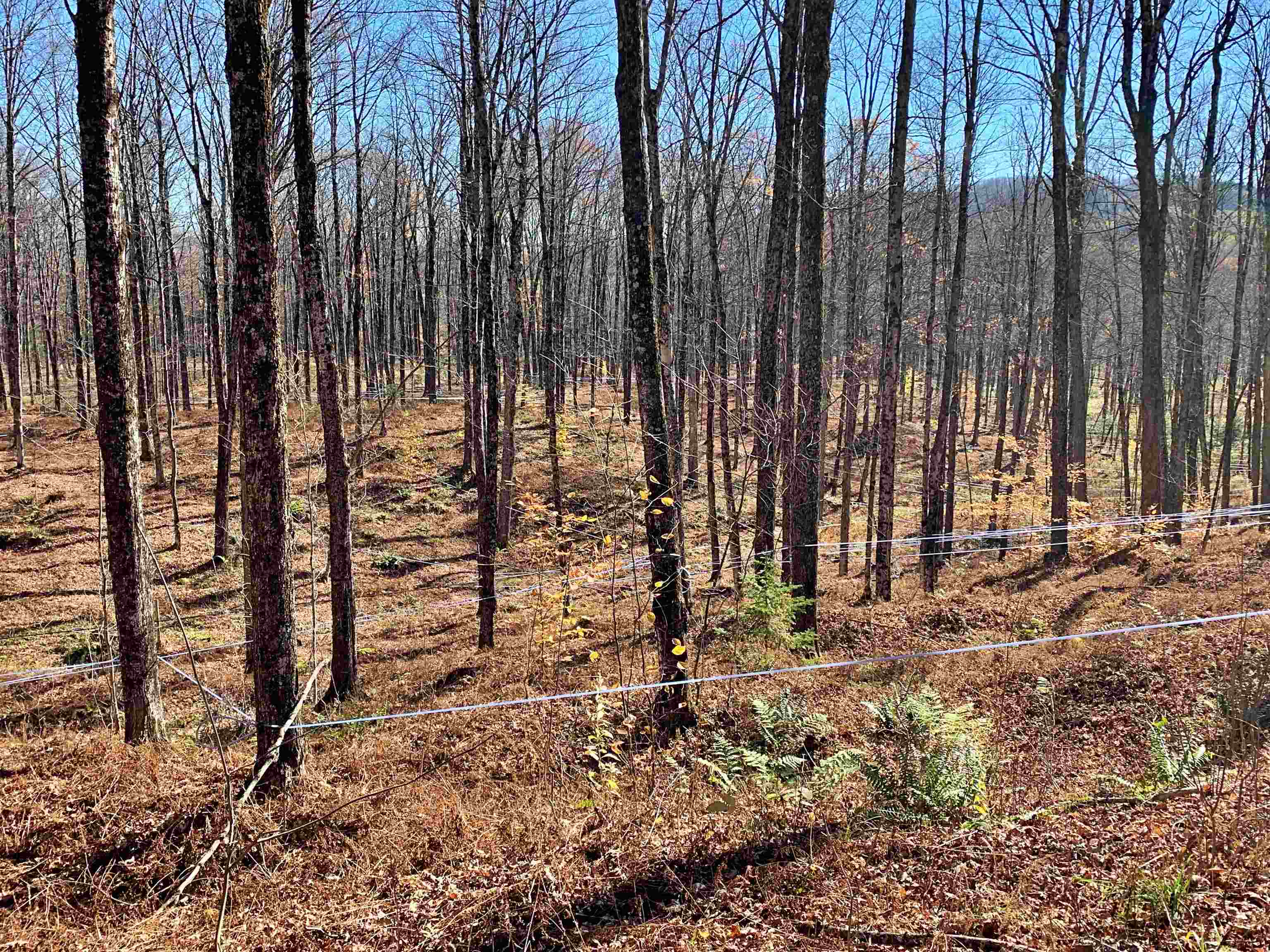 2322 East Albany Road Irasburg, VT 05845 - Photo 5 of 40 Gallery Image 5