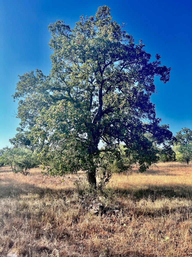 5954 County Road 408, Unit 50 Valley Spring, TX 76885 - Photo 14 of 20