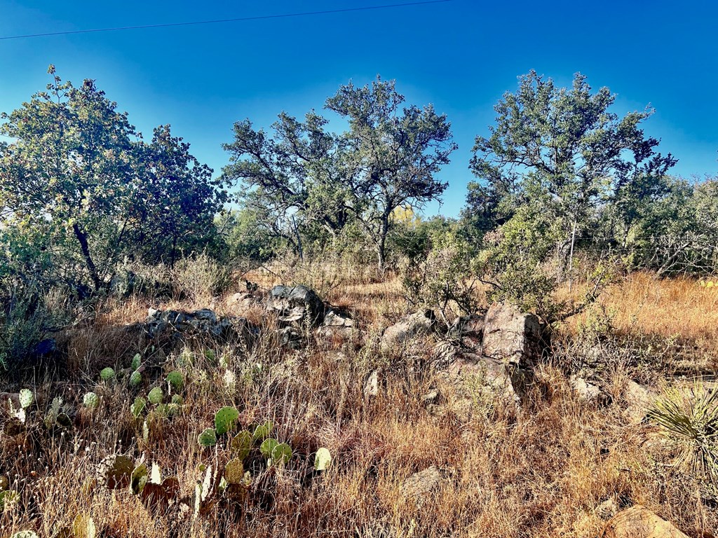 5954 County Road 408, Unit 50 Valley Spring, TX 76885 - Photo 15 of 20