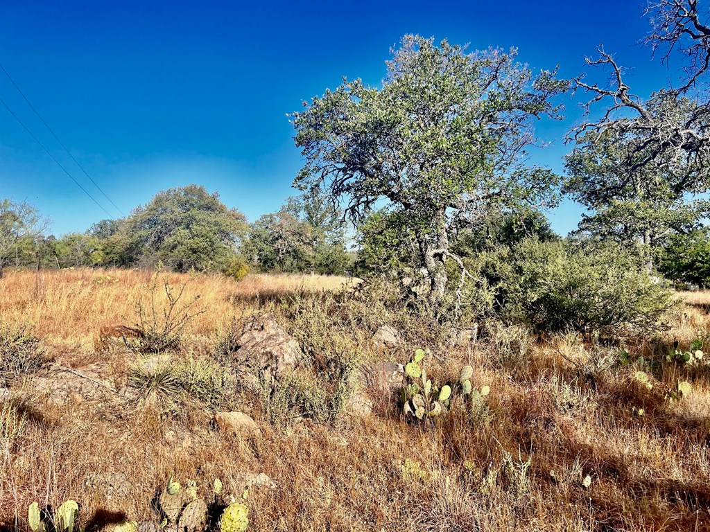 5954 County Road 408, Unit 50 Valley Spring, TX 76885 - Photo 16 of 20