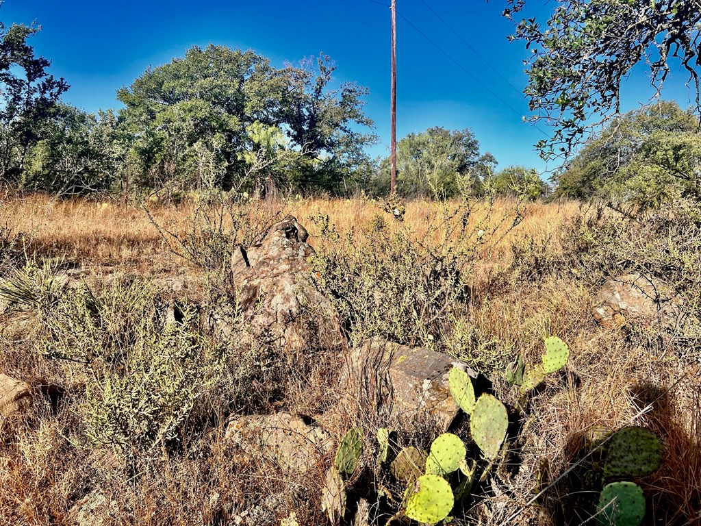 5954 County Road 408, Unit 50 Valley Spring, TX 76885 - Photo 18 of 20