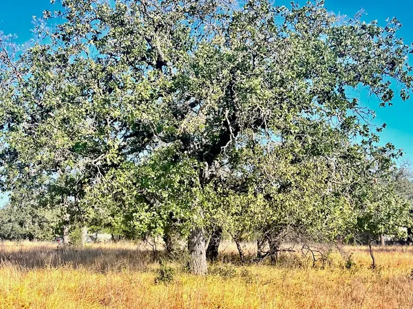 $179,900 | 5954 County Road 408, Unit 50, Valley Spring, TX 76885