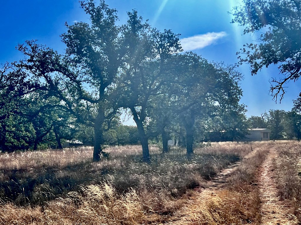 5954 County Road 408, Unit 50 Valley Spring, TX 76885 - Photo 20 of 20