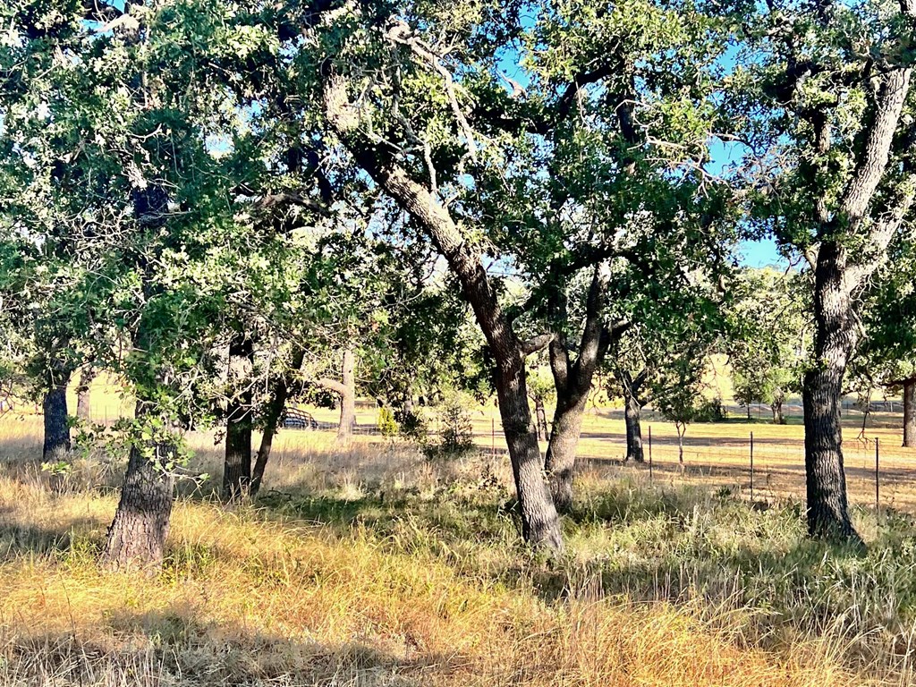 5954 County Road 408, Unit 50 Valley Spring, TX 76885 - Photo 6 of 20