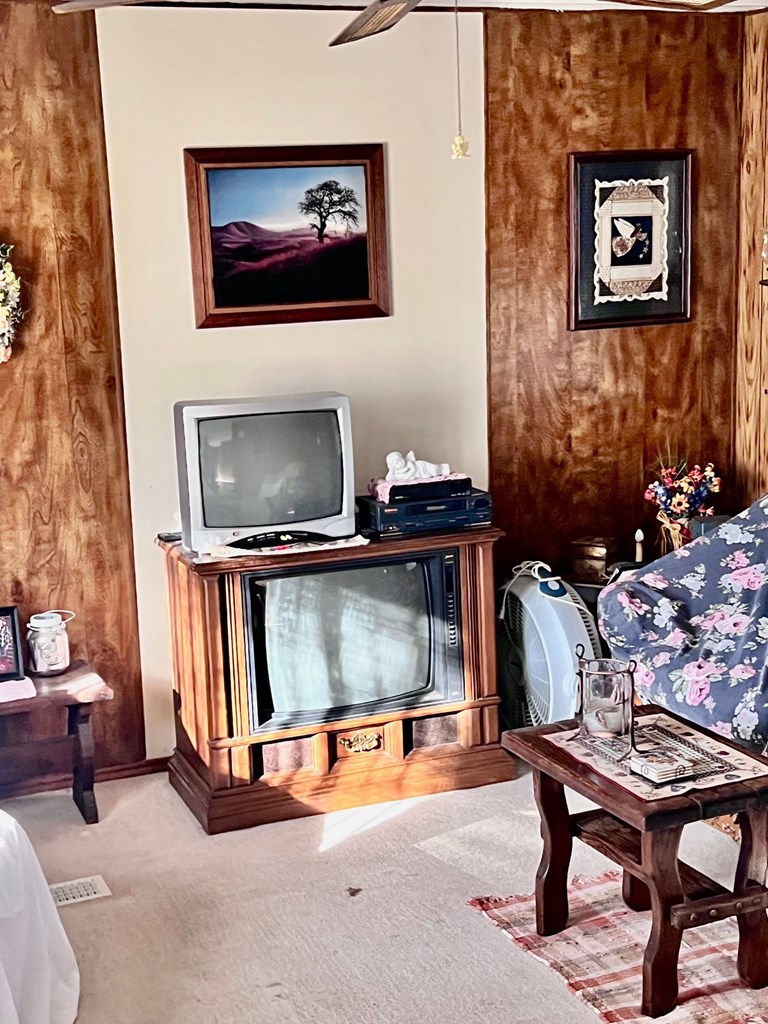 5954 County Road 408, Unit 50 Valley Spring, TX 76885 - Photo 10 of 20