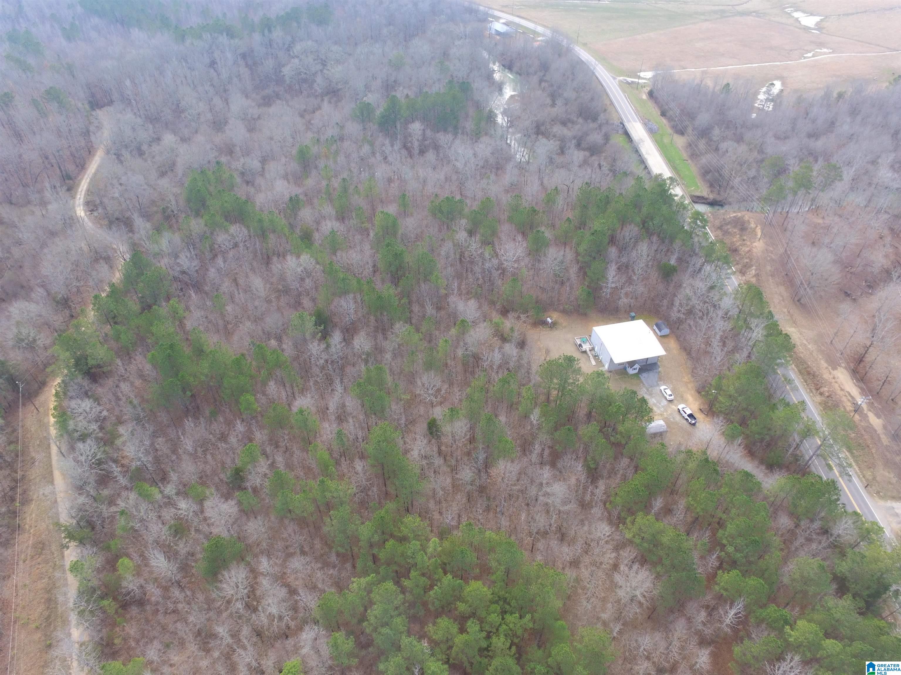 9764 Mudd Street Ohatchee, AL 36271 - Photo 8 of 28