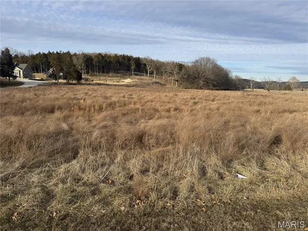 $1,700,000 | 205 Pleasant Valley Estates Drive, Eureka, MO 63025