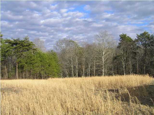 3 Stage Coach Road Coalmont, TN 37313 - Photo 1 of 15 Primary Photo
