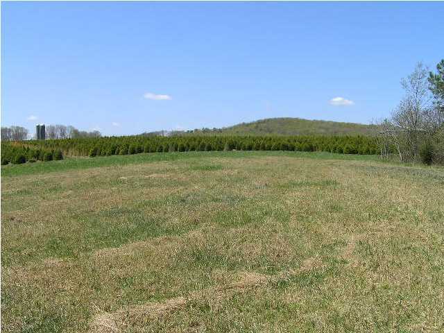 3 Stage Coach Road Coalmont, TN 37313 - Photo 12 of 15 Additional Photo
