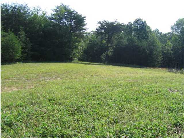 3 Stage Coach Road Coalmont, TN 37313 - Photo 13 of 15 Additional Photo