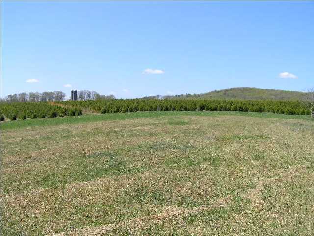 3 Stage Coach Road Coalmont, TN 37313 - Photo 2 of 15 Additional Photo