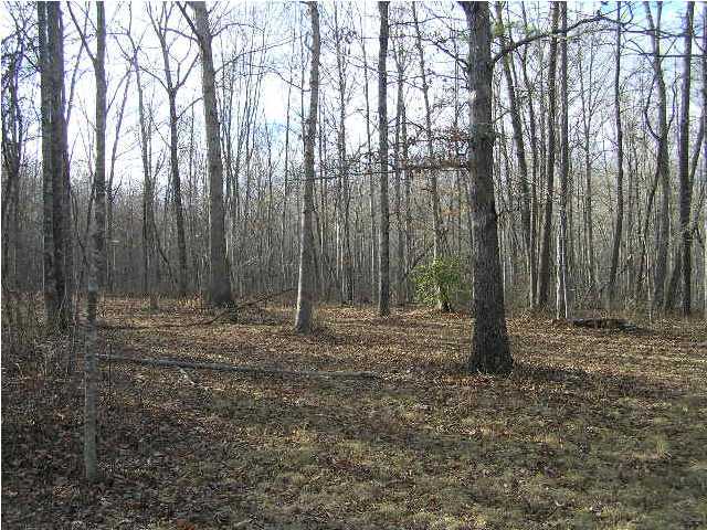 3 Stage Coach Road Coalmont, TN 37313 - Photo 3 of 15 Additional Photo