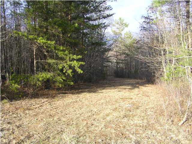 3 Stage Coach Road Coalmont, TN 37313 - Photo 4 of 15 Additional Photo