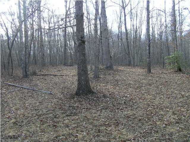 3 Stage Coach Road Coalmont, TN 37313 - Photo 5 of 15 Additional Photo