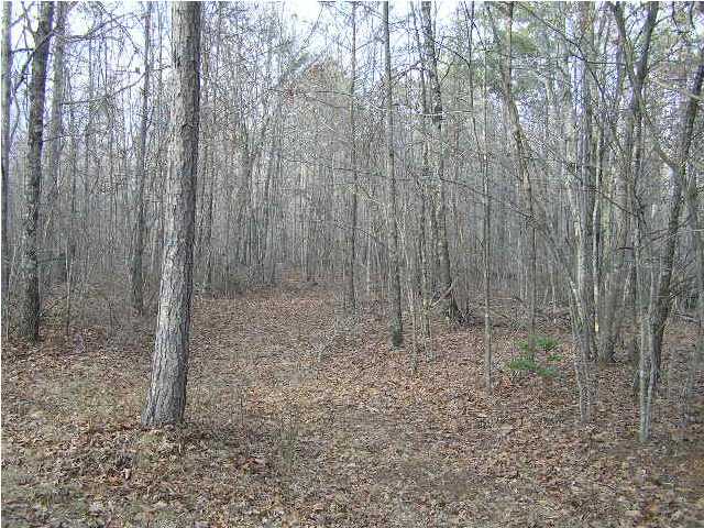 3 Stage Coach Road Coalmont, TN 37313 - Photo 8 of 15 Additional Photo