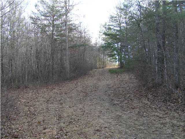 3 Stage Coach Road Coalmont, TN 37313 - Photo 9 of 15 Additional Photo
