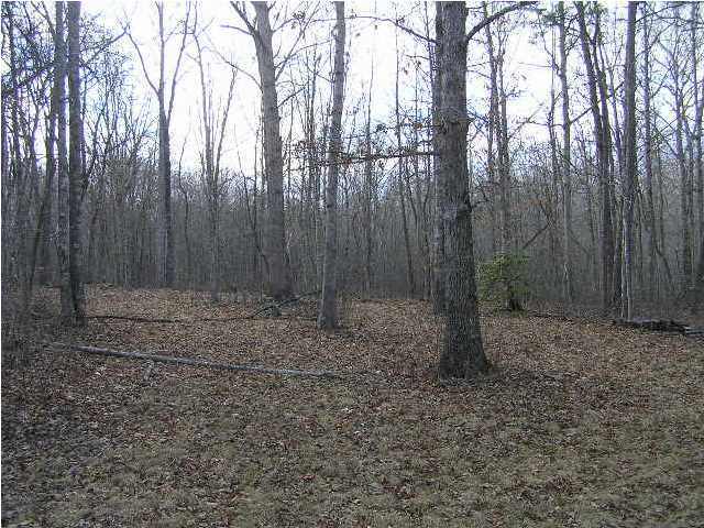 3 Stage Coach Road Coalmont, TN 37313 - Photo 10 of 15 Additional Photo