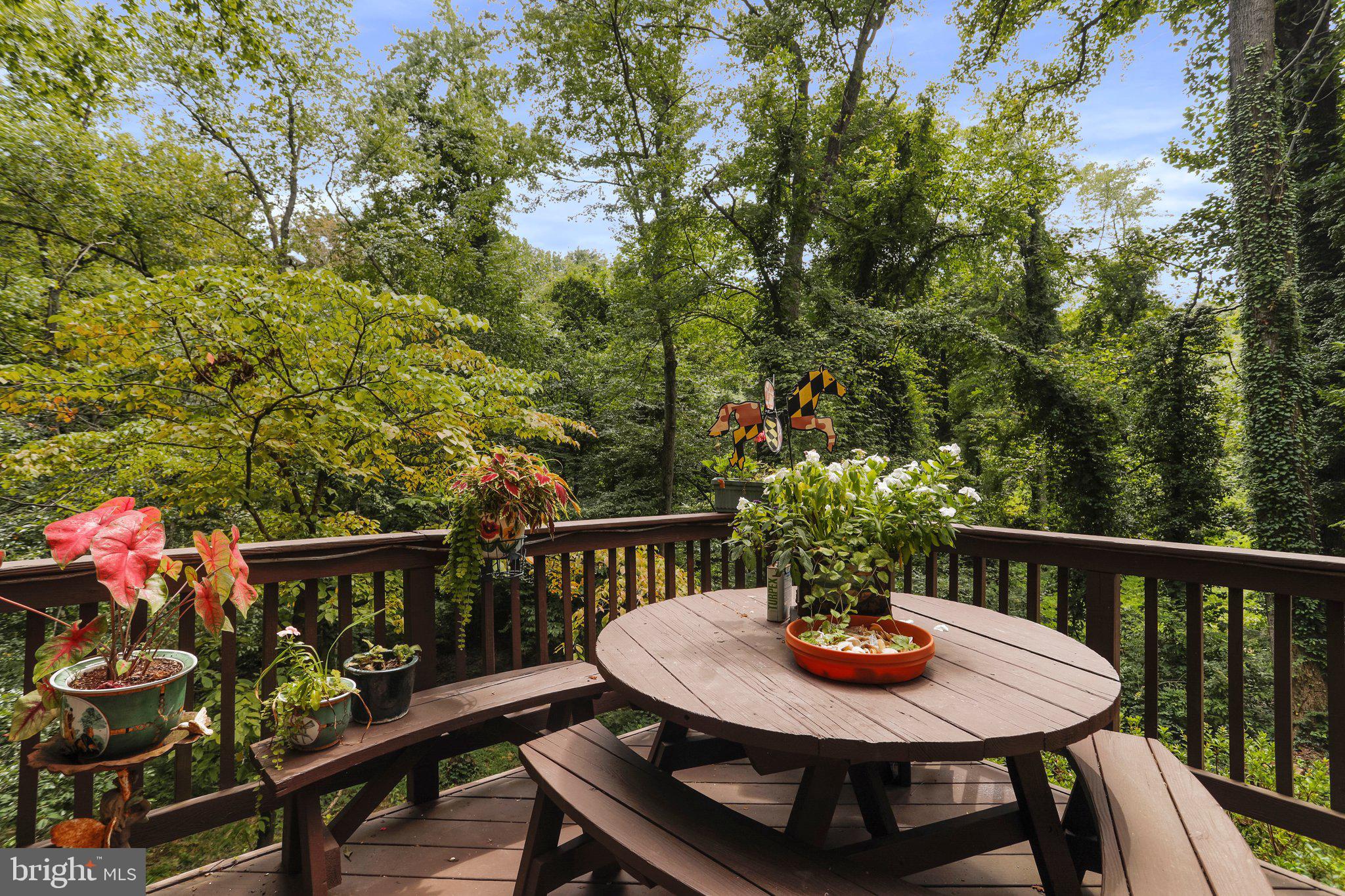 1644 Comanche Road Arnold, MD 21012 - Photo 52 of 61 Deck