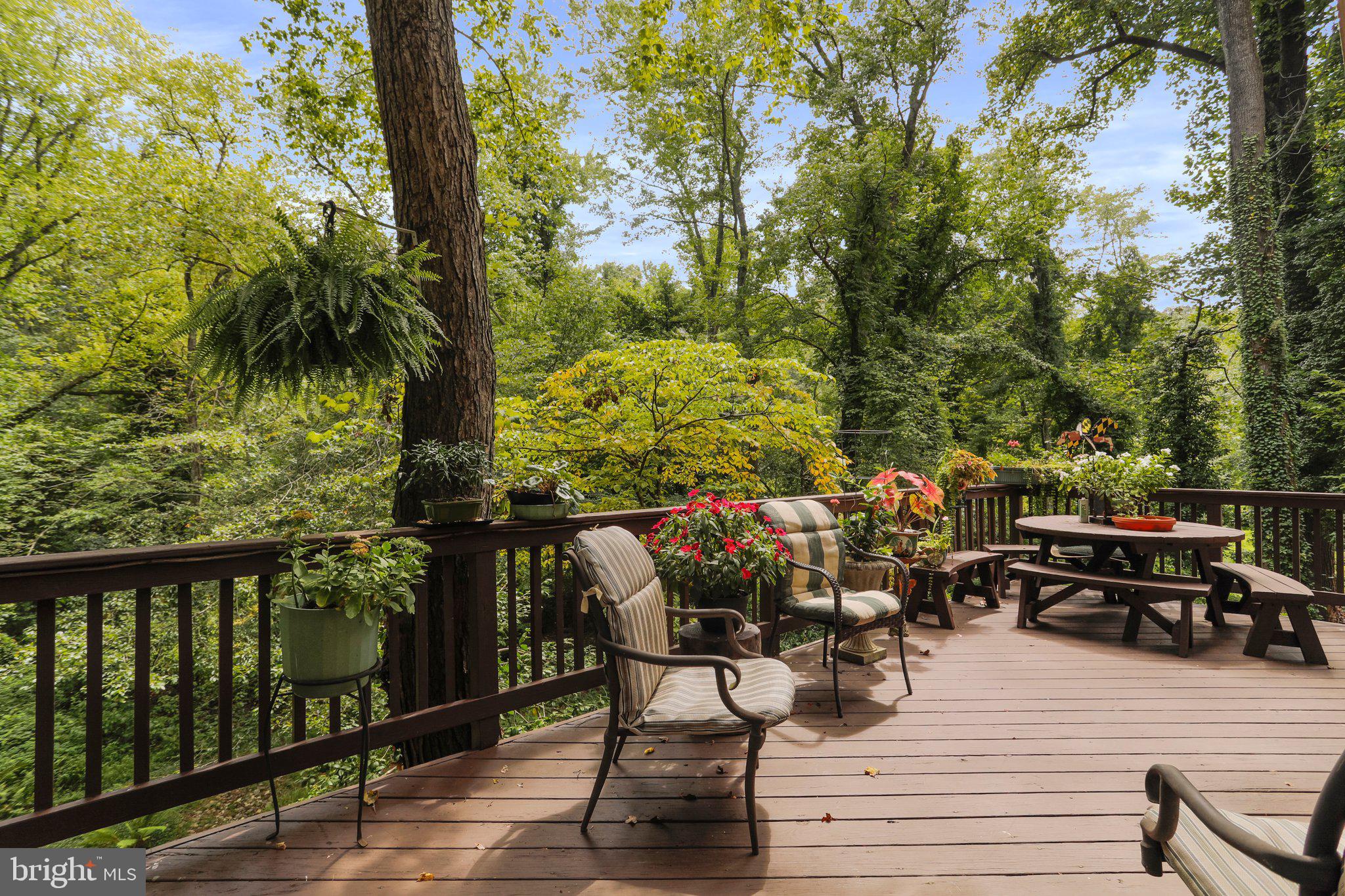 1644 Comanche Road Arnold, MD 21012 - Photo 53 of 61 Deck