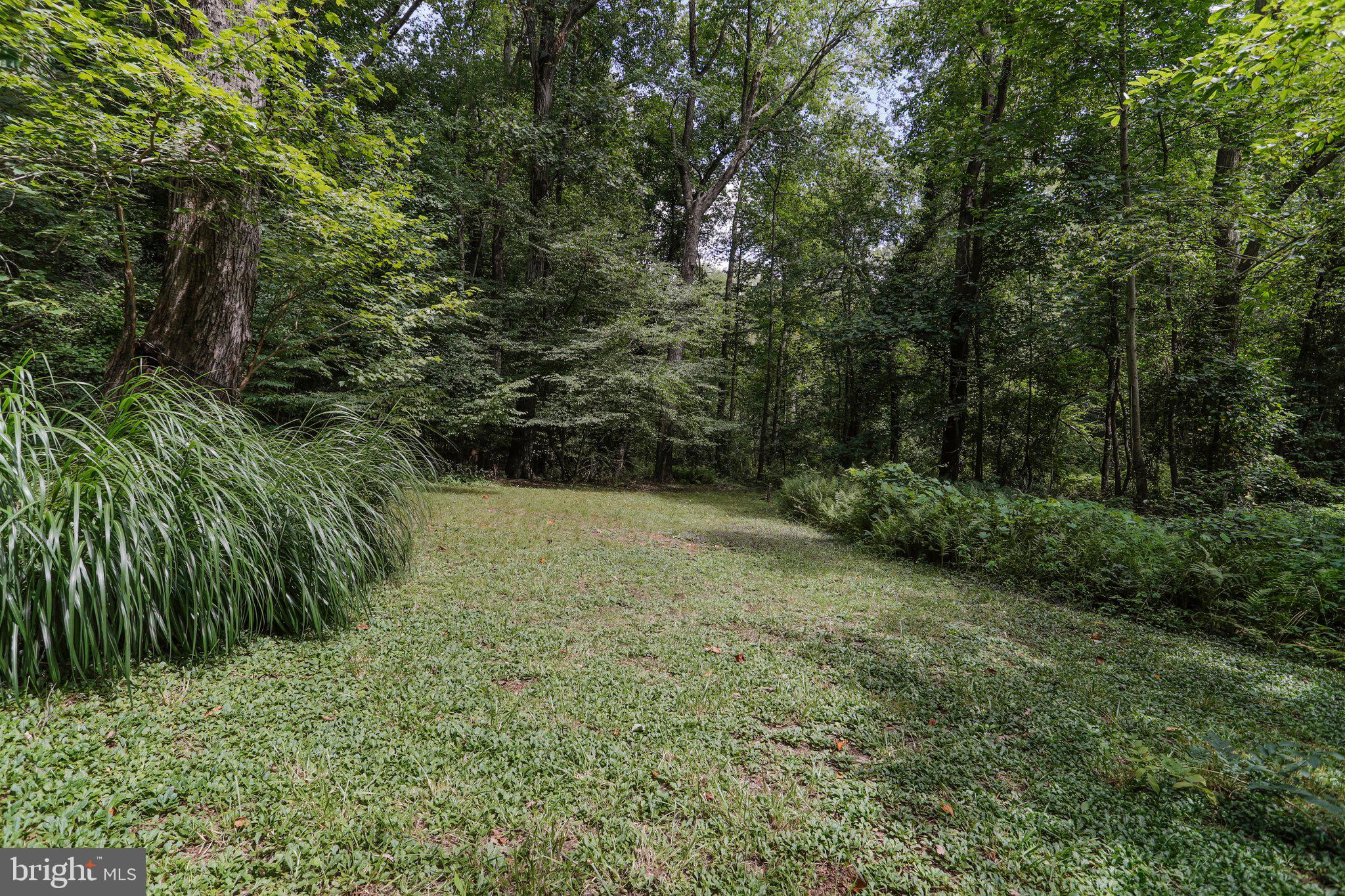 1644 Comanche Road Arnold, MD 21012 - Photo 55 of 61 Backyard