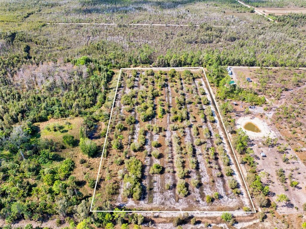 7650 Irgang Road Naples, FL 34114 - Photo 3 of 11