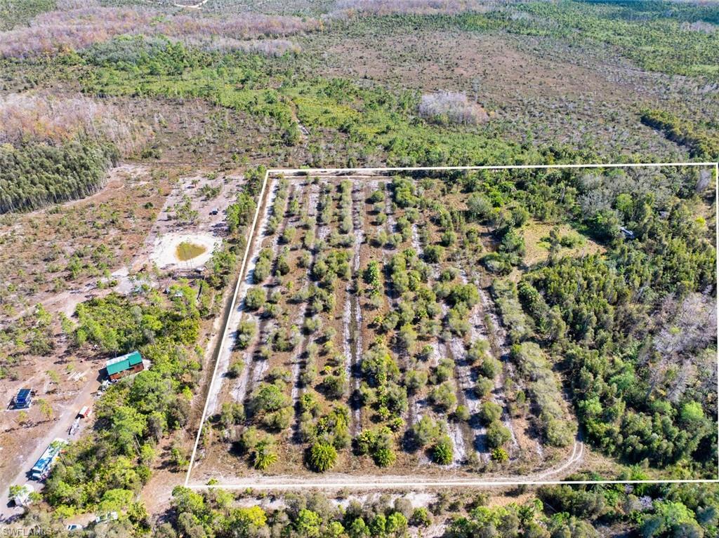 7650 Irgang Road Naples, FL 34114 - Photo 5 of 11 a view of a yard
