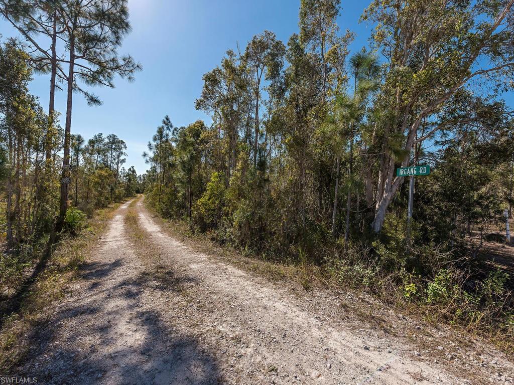 7650 Irgang Road Naples, FL 34114 - Photo 6 of 11 a view of outdoor space and trees