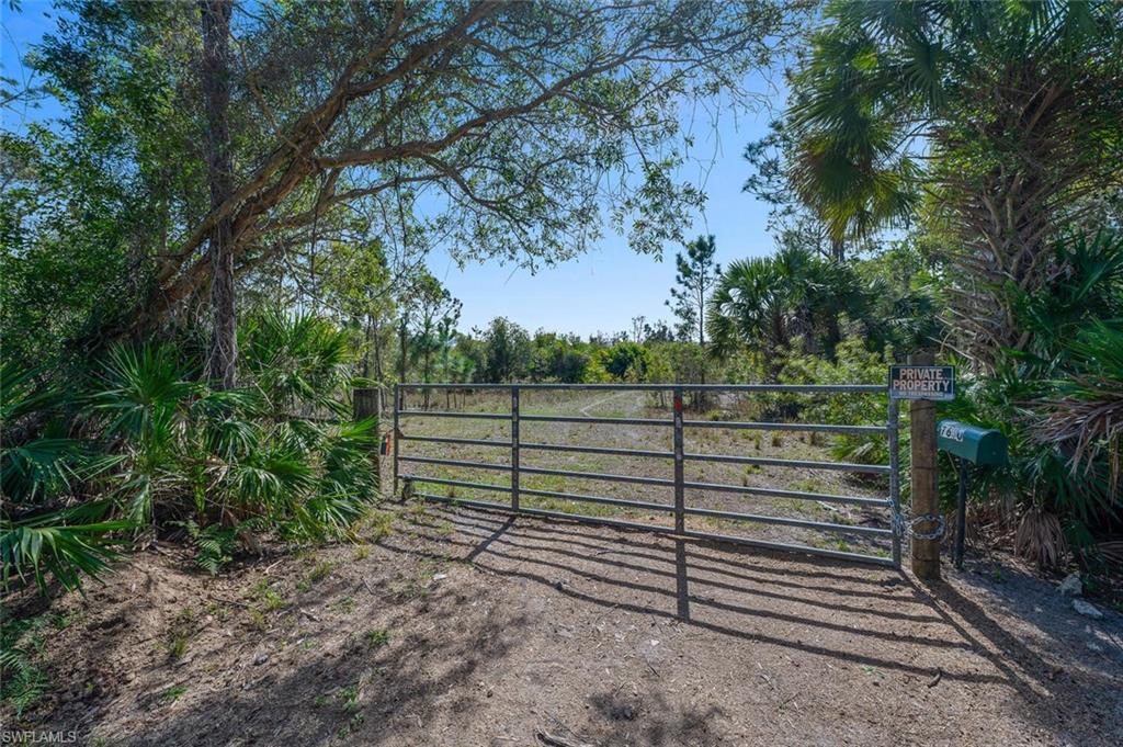 7650 Irgang Road Naples, FL 34114 - Photo 9 of 11 a view of a yard with iron fence