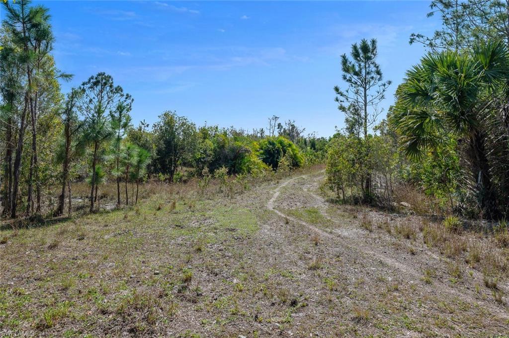 7650 Irgang Road Naples, FL 34114 - Photo 10 of 11 a view of a dry yard with trees in the background
