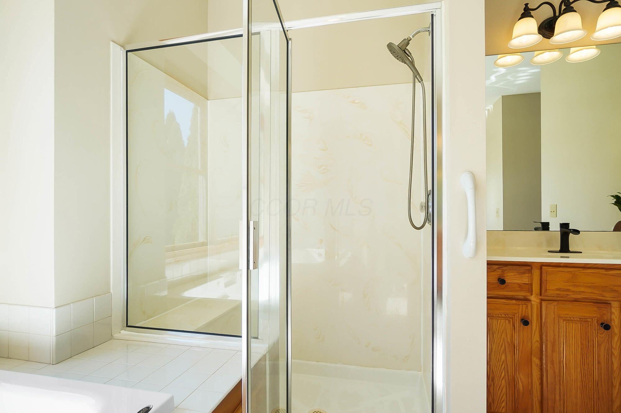 8591 Spring Flower Road Pickerington, OH 43147 - Photo 41 of 84 Primary Shower