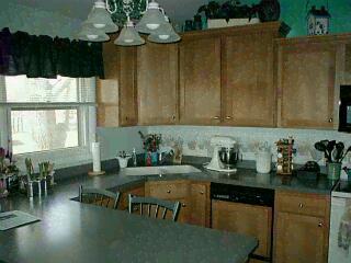 1025 Azaleamum Drive Three Rivers, MI 49093 - Photo 3 of 6 Additional Photo