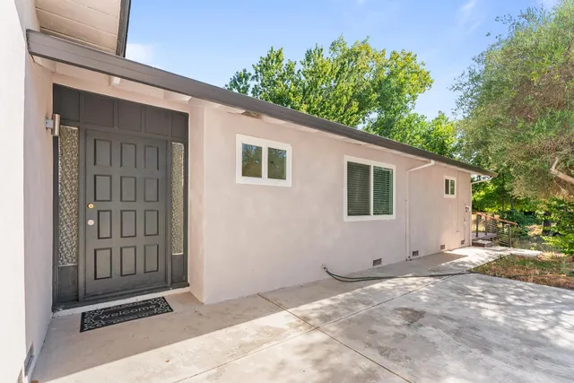 a view of backyard with a large tree