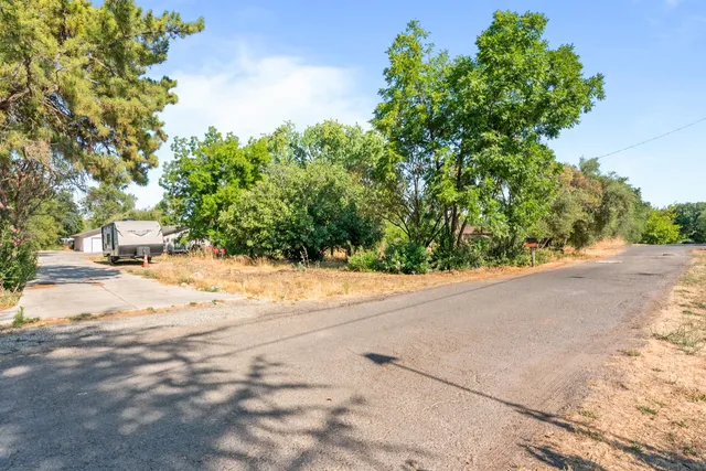 a view of road with large trees