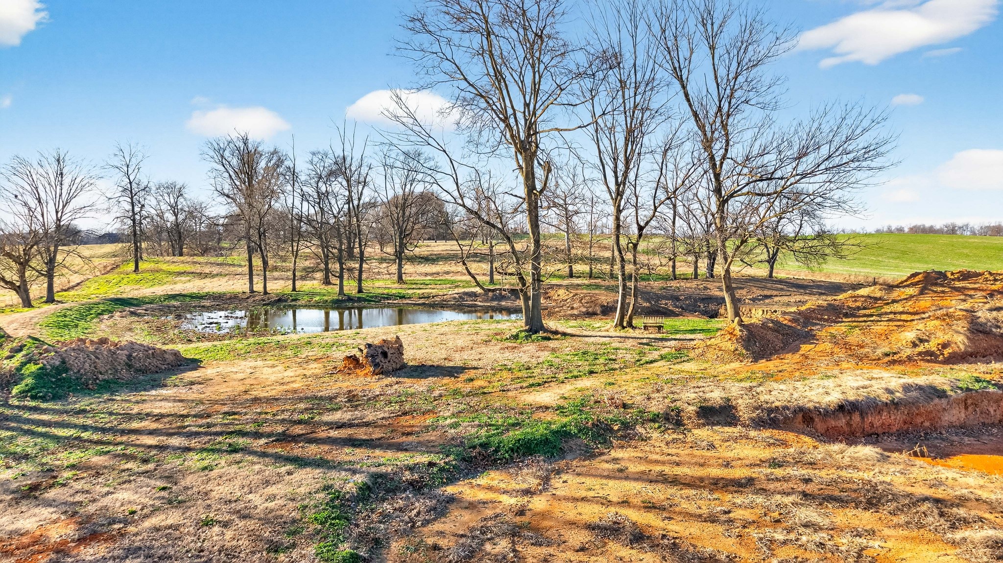 5002 Homer Worsham Road Springfield, TN 37172 - Photo 20 of 25